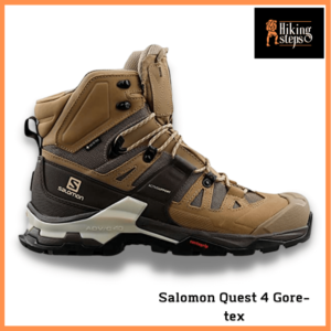 Salomon Quest 4 Hiking boots GTX for Men