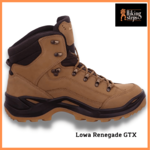 Lowa Renegade GTX