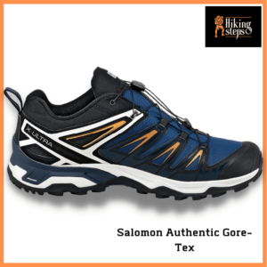 Salomon Authentic Gore-Tex Trail Running Shoes For Men