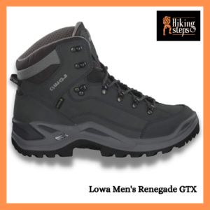 Lowa Men's Renegade GTX